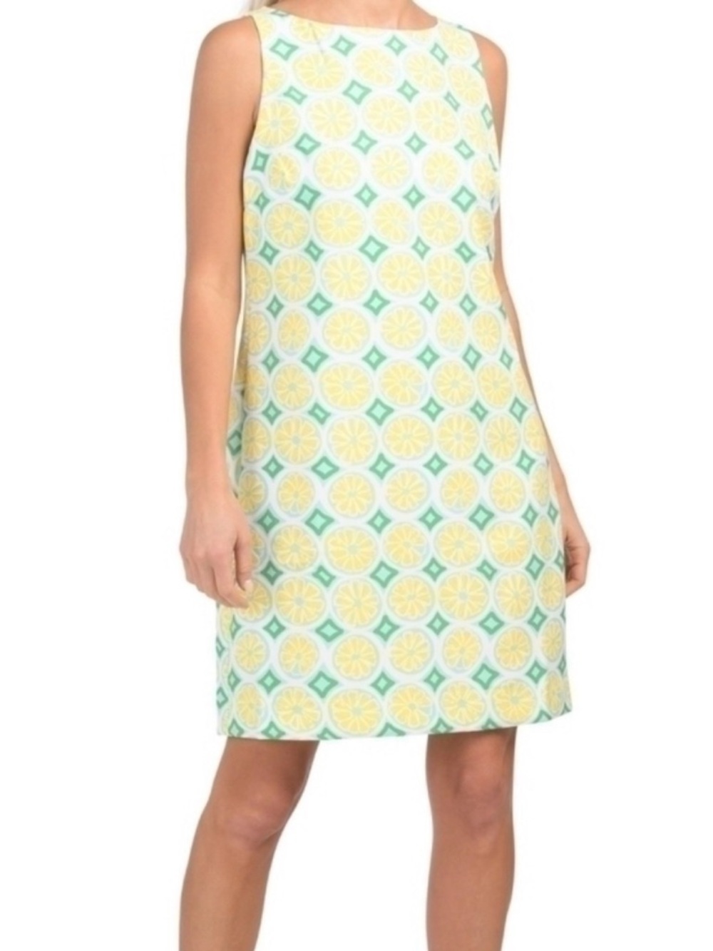 Sail to Sable Yellow and Green Citrus Print Shift Dress (Bin 12)